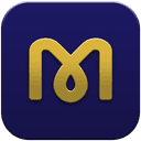 mt 3d logo